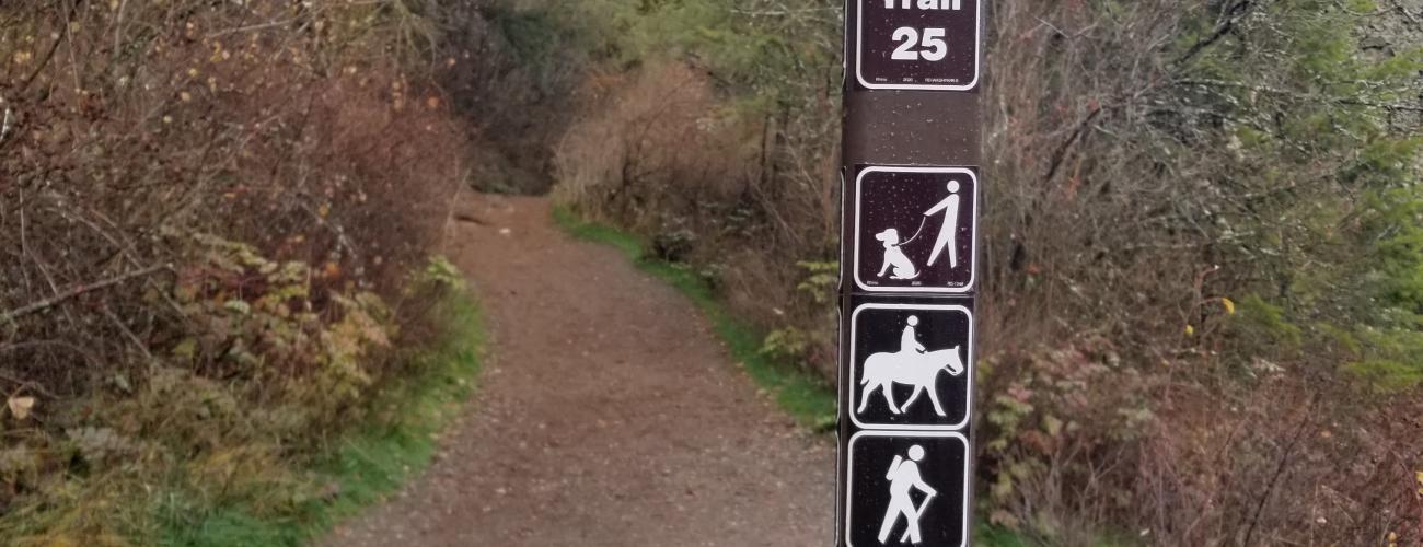 Trailhead sign with path and trees