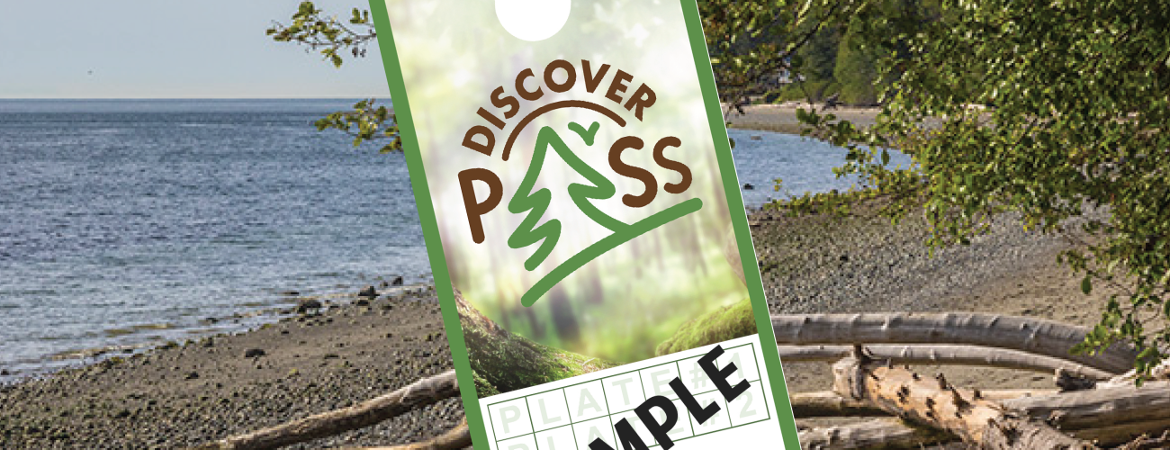 Discover Pass Sample