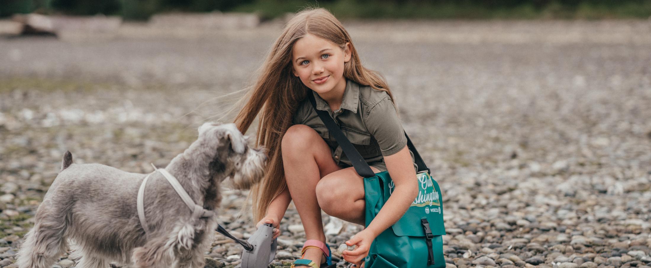 a rocky beach with seaweed on the rocks with a small grey schnauzer dog on a leash