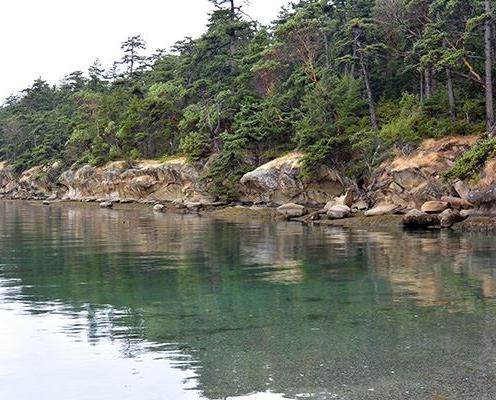 The foreground shows the water surrounding the island with a green hue that is likely due to the reflection of the green trees along the rocky outcropping of the shoreline. The trees are dense and the orangish-brown rock outcroppings serve as immediate boundaries for the forest against the water. The outcroppings are steep, with a nearly vertical ledge. There are some visible tocks and driftwood along a small unsubmerged portion of shoreline below the rock outcroppings.