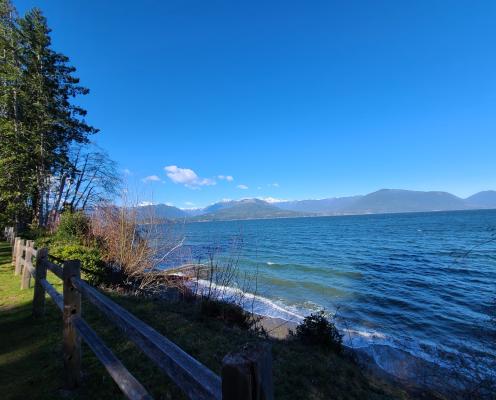 Scenic Beach shoreline on hood canal with view of Olympic mountains
