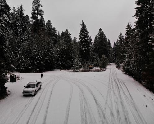 Two snow-coverd forest roads with tire tracks converge into a wide snow-covered area surrounded by pine trees.