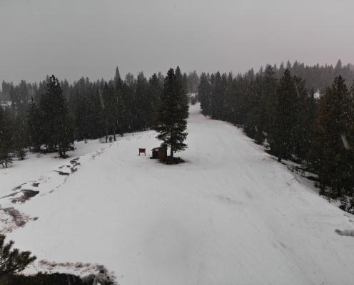 Snow falls on an open parking area covered by thick snow and bordered by pine trees and snowy ground.