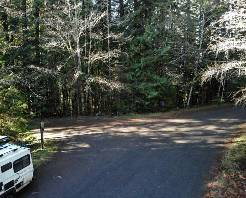 Paved section of a shaded forest road with no snow present. A small pull-out is on the left side.