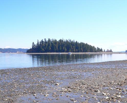 Pine-covered McMicken Island rises above it's reflection in glassy waters. A shoreline spans the distance under a blue sky. A rocky beach with shallow puddles is in the foreground.