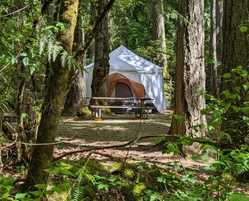 An orange tent below a white day canopy in a forested campground