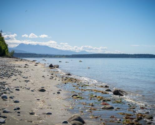 Beach view of land across the water. The beach is sandy with large rocks spread out and seaweed sitting along the water's edge. There is green foliage covering the hillside on the left side of the beach.