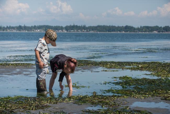 Children playing on the beach during low tide