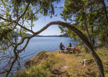Image of visitors picnicking along the shoreline. In the background you can see trees with green leaves, blue water, and the hills and trees on the other side of the water. There is a curved tree in the foreground framing the two people having a picnic.