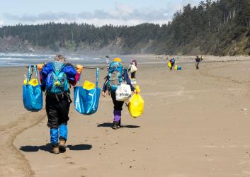 Volunteers using reusable bags for beach cleanup