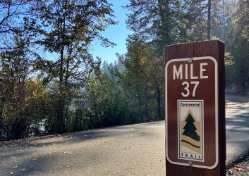 A milepost marker sits slightly off the flat asphalt trail lined with green leafy and evergreen trees.