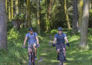 Two people ride mountain bikes on a doubletrack trail among lush grass and tall trees.