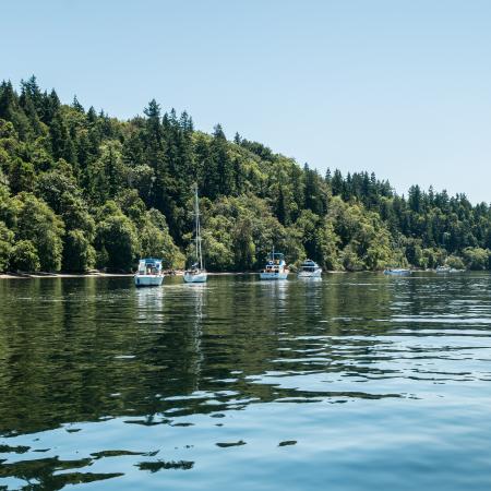 Blake Island shore with buoyed boats, forests, Puget Sound