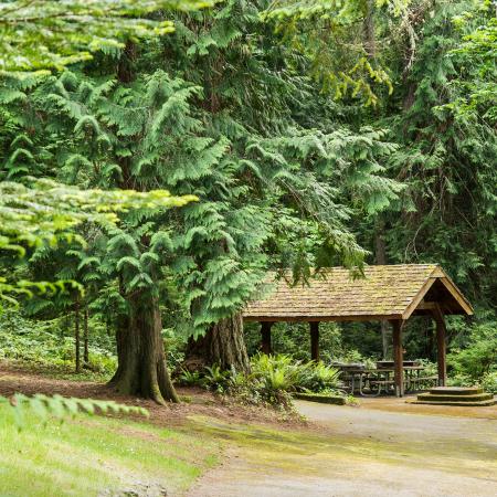 Scenic Beach picnic shelter near forests