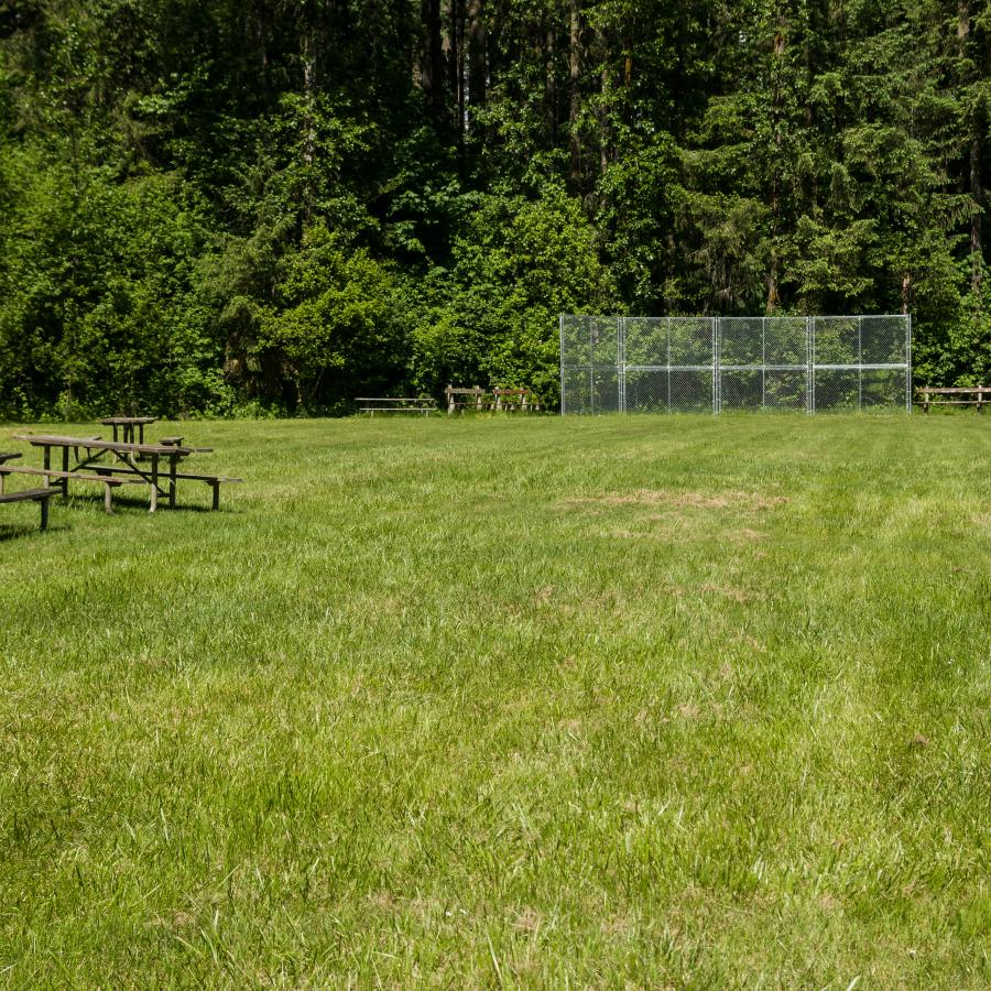 The ball field on a sunny day at Battle Ground Lake State Park. 