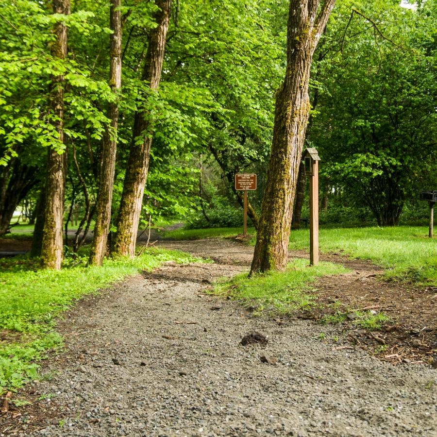 The entrance to the horse trail at Battle Ground Lake State Park.