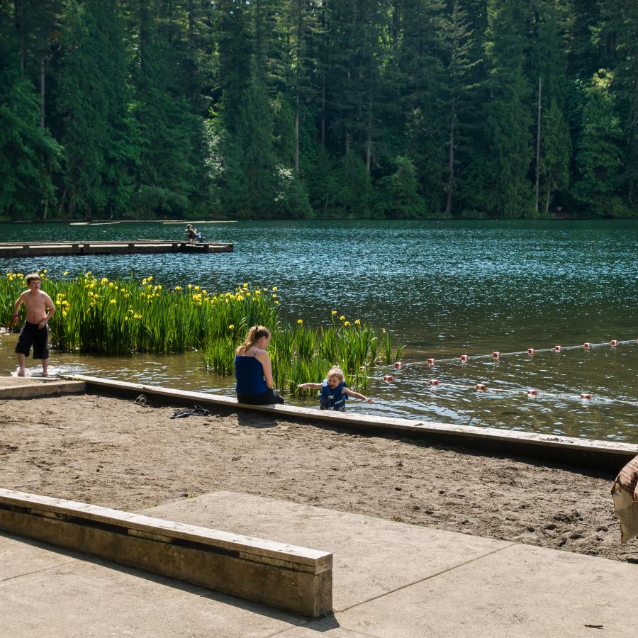Children and a dog enjoying the swimming area at Battle Ground Lake State Park.