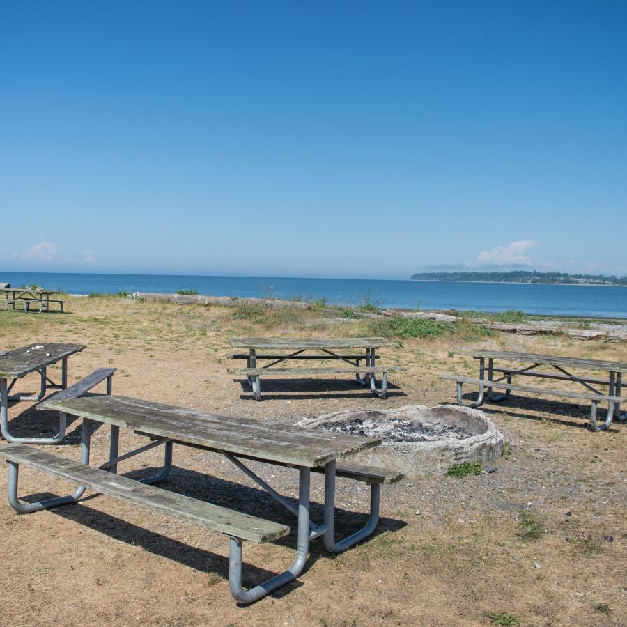 Picnic tables around a fire pit by the ocean on a sunny blue sky day