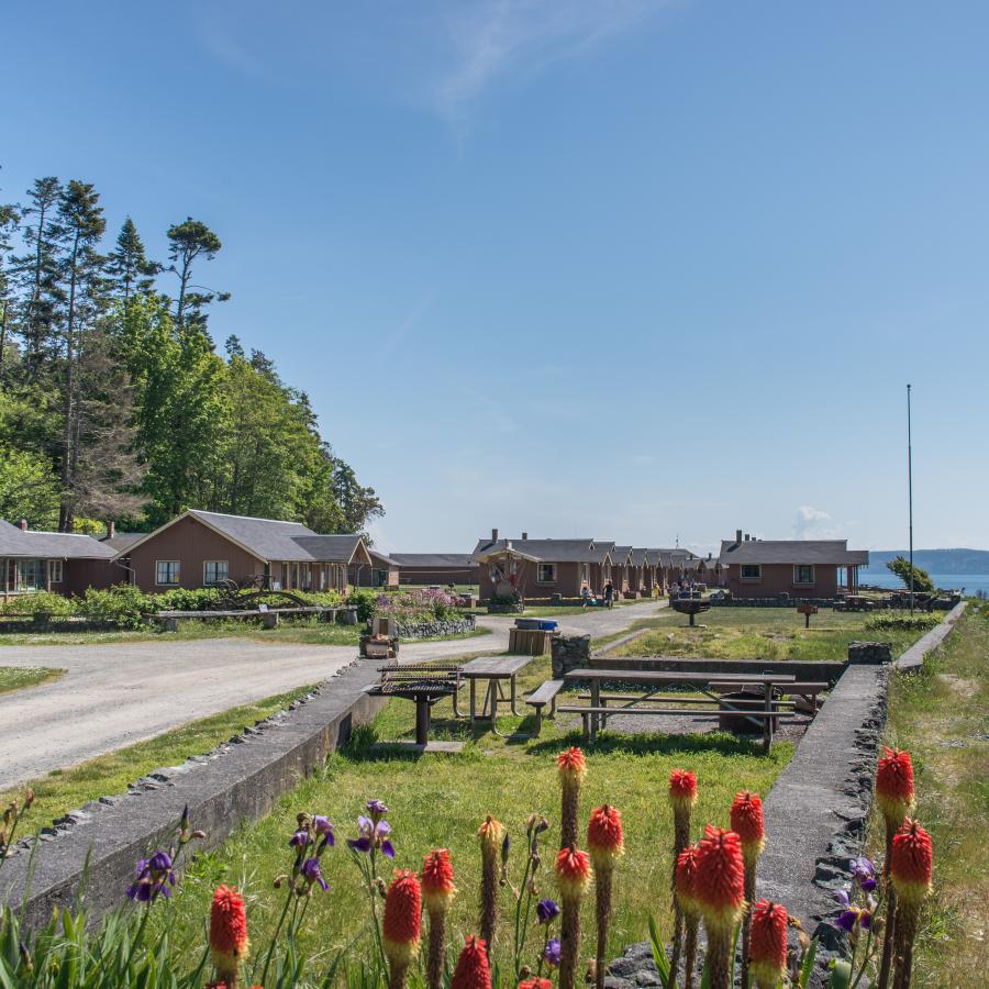 Cabins beachside at Cama Beach. Red flowers are in the foreground with a clear blue sky. 