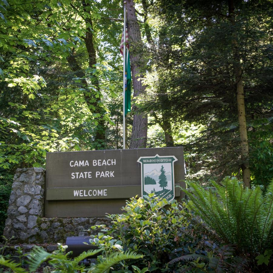 Cama Beach State Park Sign surrounded by lush green forest plants and trees.
