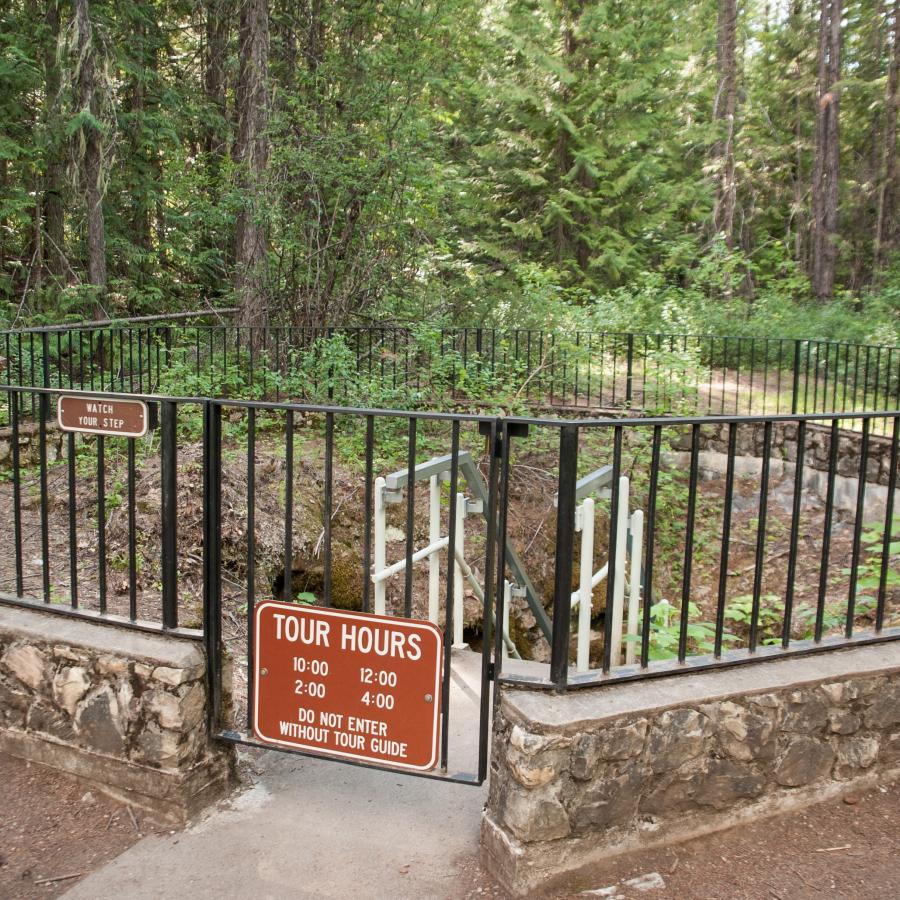 The staircase leading down into Gardner Cave sits behind a fence and gate in a wooded area with small bushes growing around the sides.