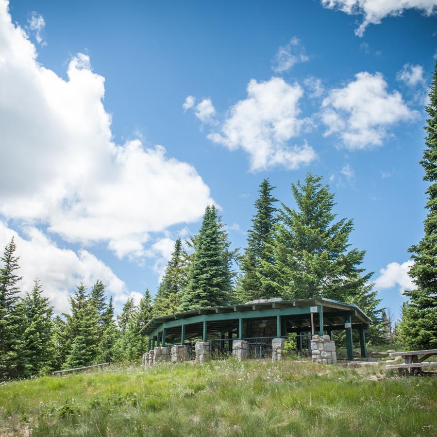 Looking uphill towards a picnic shelter set at the edge of tall trees and clouds in the sky.