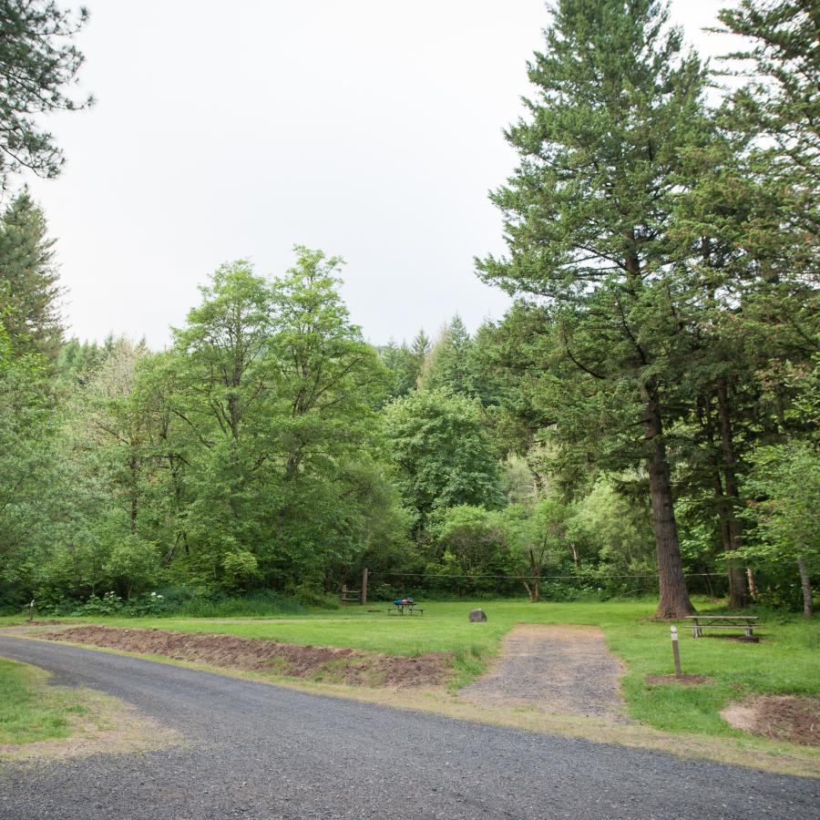 Standard campsite with a drive to park a car, and benches at Beacon Rock State Park.