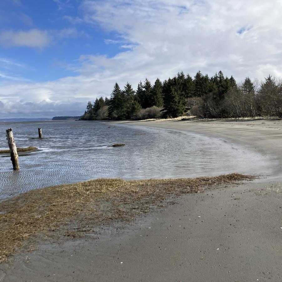 The shoreline of Bottle Beach State Park.