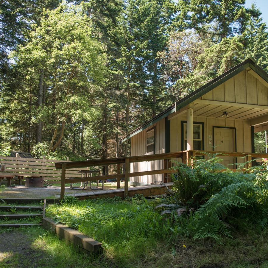 Camano Island State Park cabin in the shade with steps up to a picnic table, grill, and fire pit with benches on the left and the building on the right. Cabin is white to yellow in color with green trim, one visible window next to the cabin door which are both outlined with green painted trim and the side of the cabin visible that faces the picnic table area also has one window with a green trim. In the forefront are green ferns and grass. The background of the photo shows tall, lush trees.