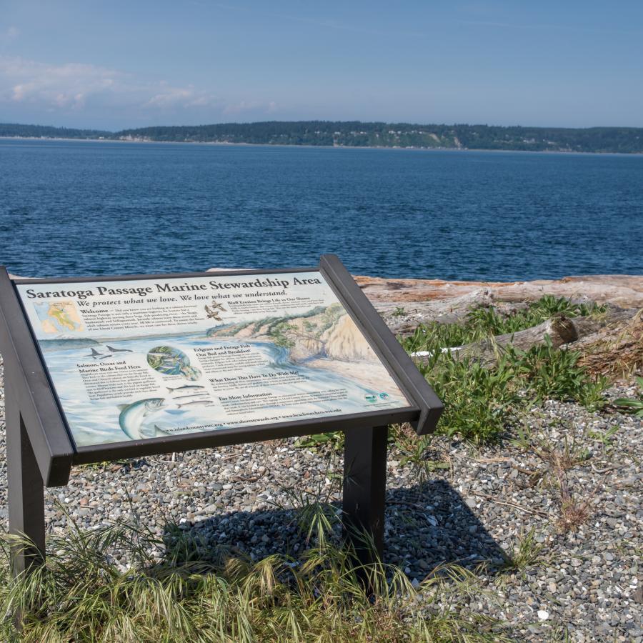Camano Island State Park interpretive sign overlooking a rocky beach with visible driftwood, forested and developed land on the other side of the Saratoga Pass. The sign is for the Saratoga Passage Marine Stewardship Area. Much of the writing is too difficult to read.