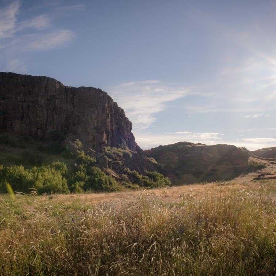 large outcrop of rocks and a bluff in a grassy meadow with blue skies