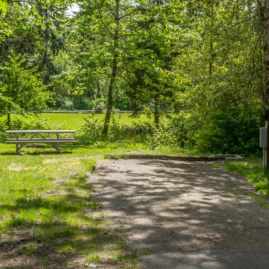 A sunny campsite with a picnic table at Dash Point State Park.
