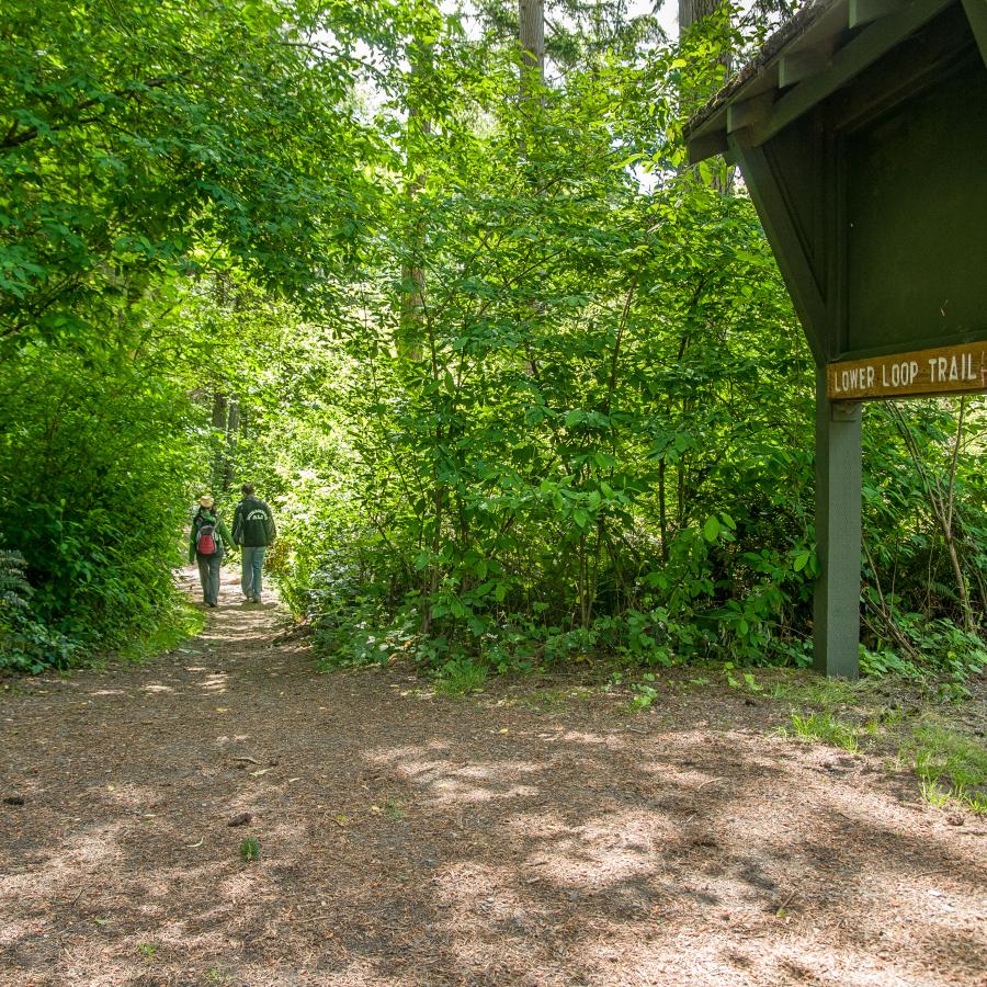 The trail information sign at the beginning of a trailhead at Dash Point State Park.