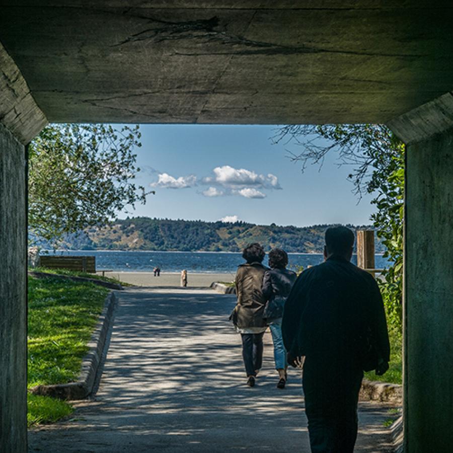 The tunnel leading to the beach at Dash Point State Park.