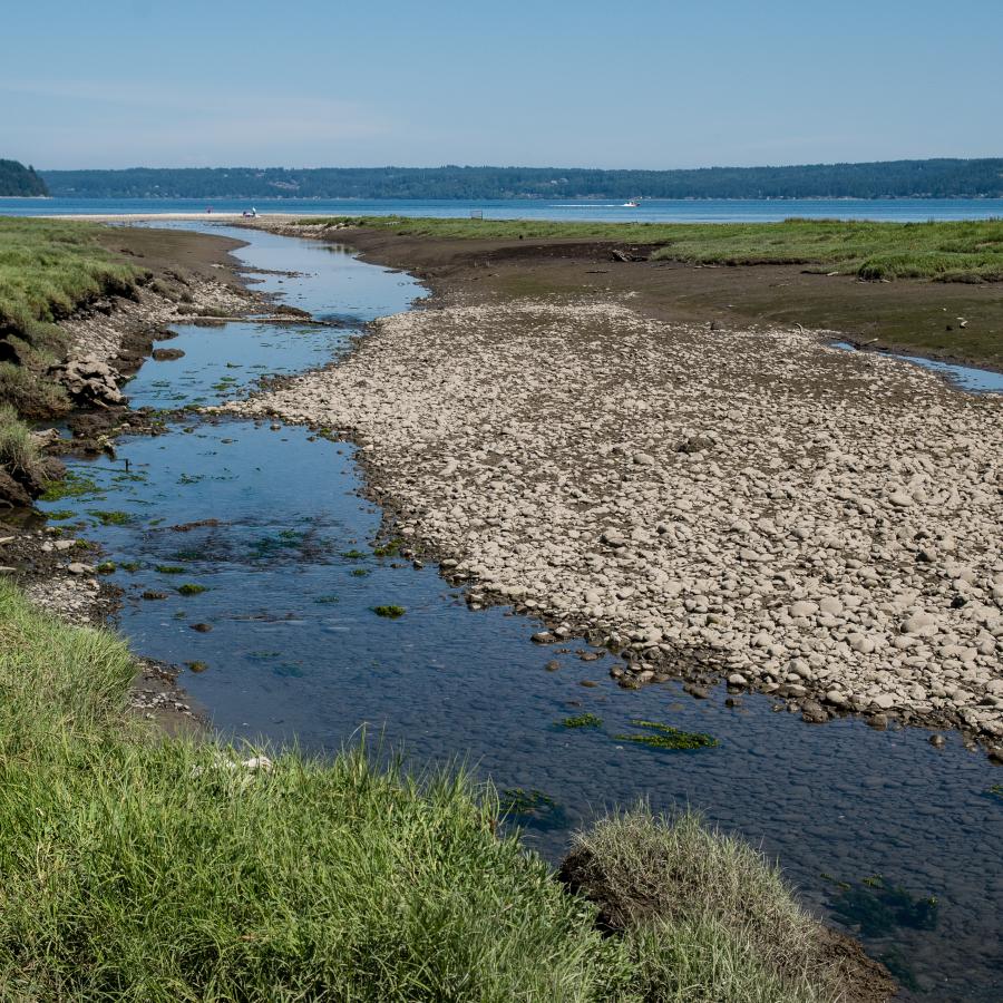 The creek meeting the ocean on the Dosewallips beach.