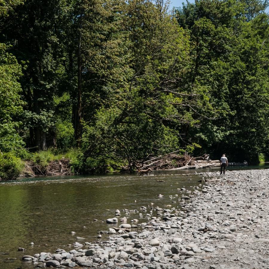 The river lined with rover rocks.