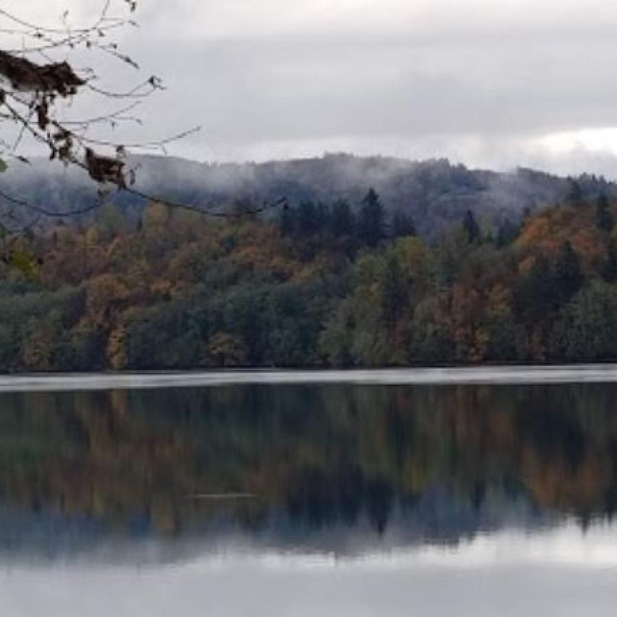 glassy view of lake with shoreline reflecting back the tree line of fall colors