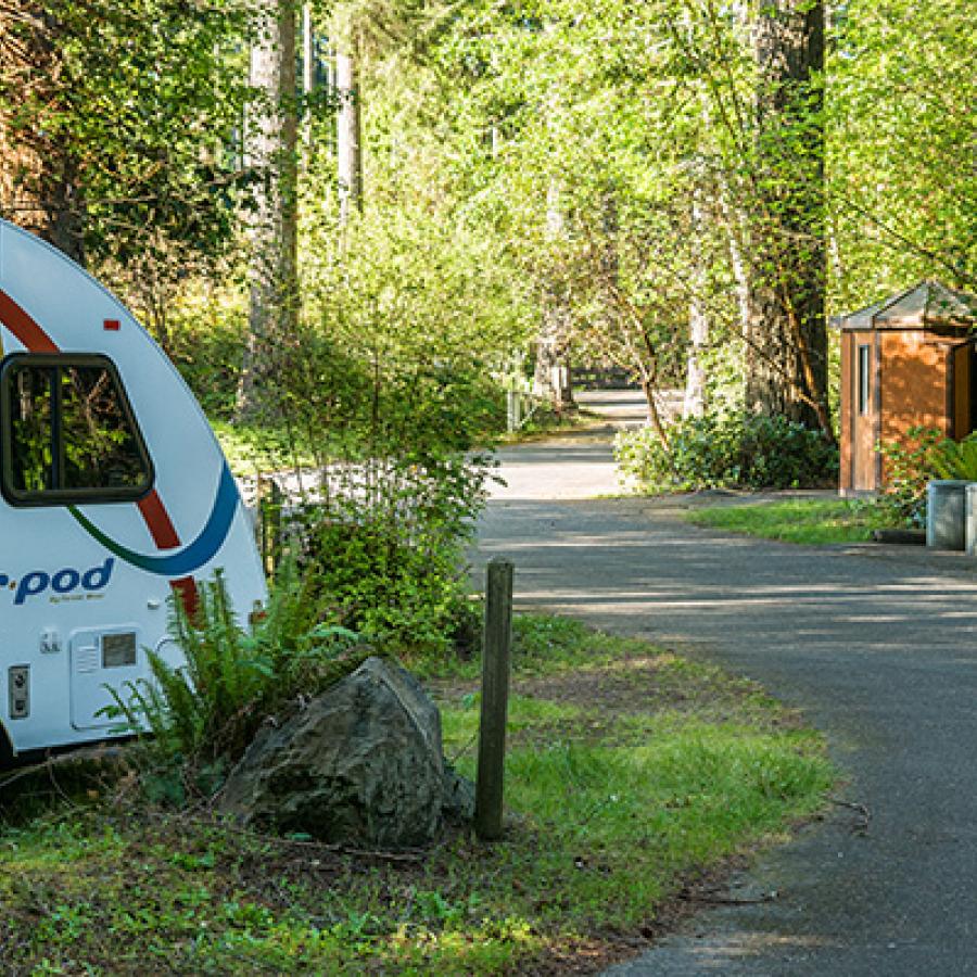 A trailer in the primitive campground, lush trees and bushes all around