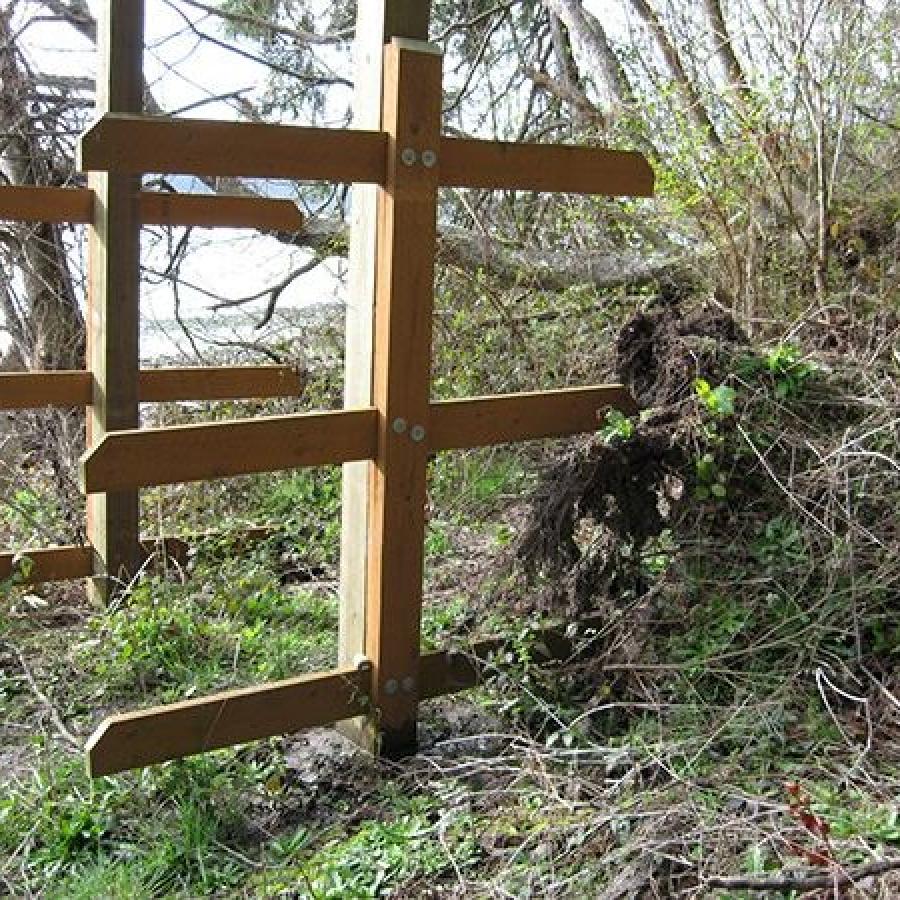 Empty wooden canoe rack, three levels, with large metal bolts located on what looks to be an incline. Brush is green, but deciduous trees visible in the background are leafless.