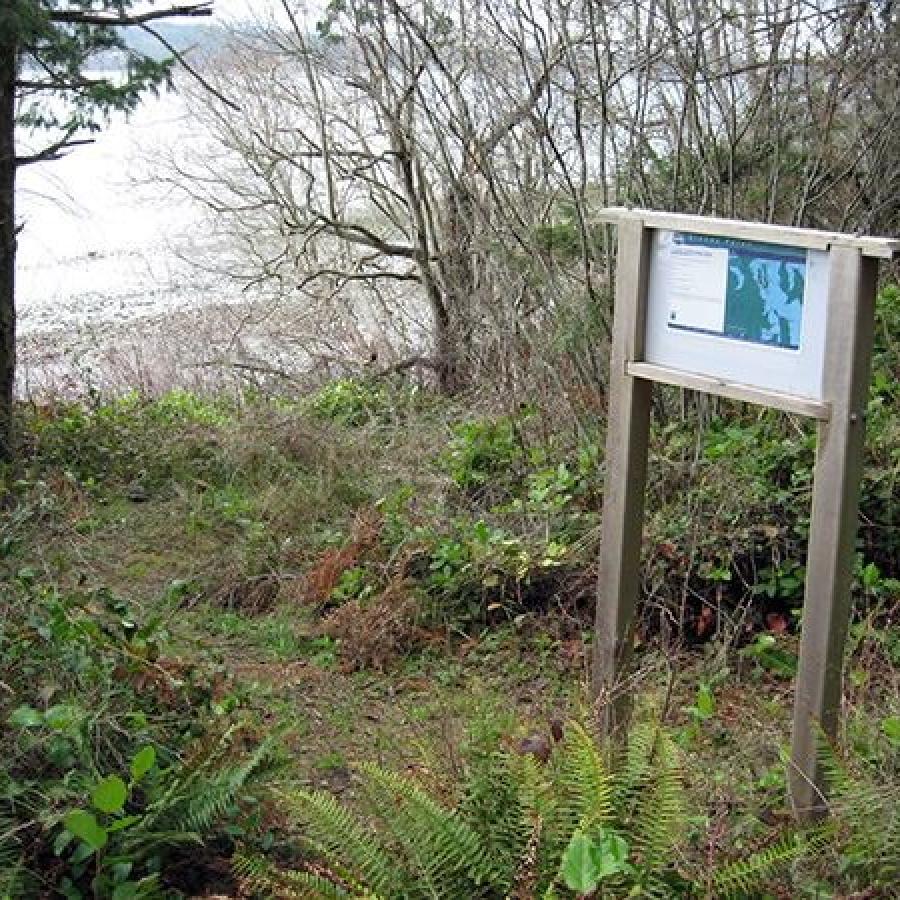 Trail sign along a trail leading to the rocky beach. Green underbrush is visible along the trail, evergreens are to the left of the trail, and some leafless deciduous trees are to the right. The content on the trail sign is not readable.