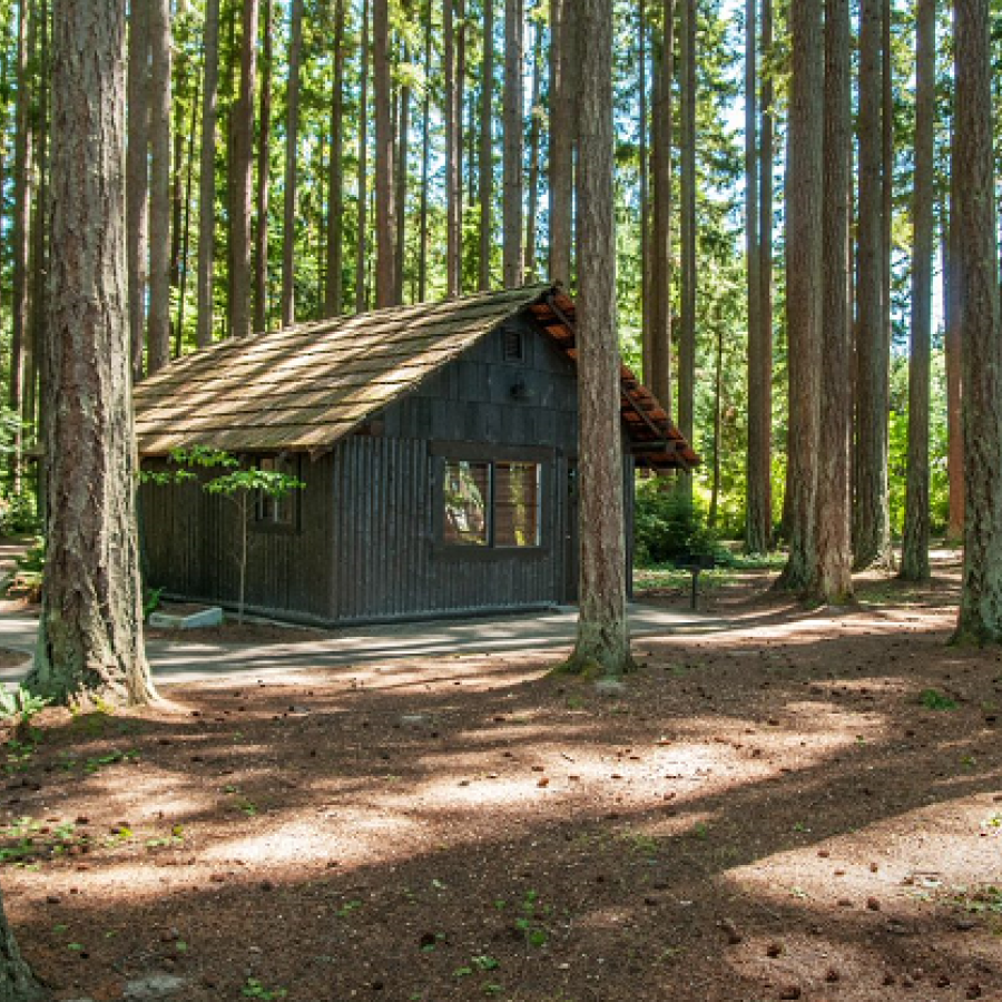 Kitsap Memorial Cabin Exterior in trees