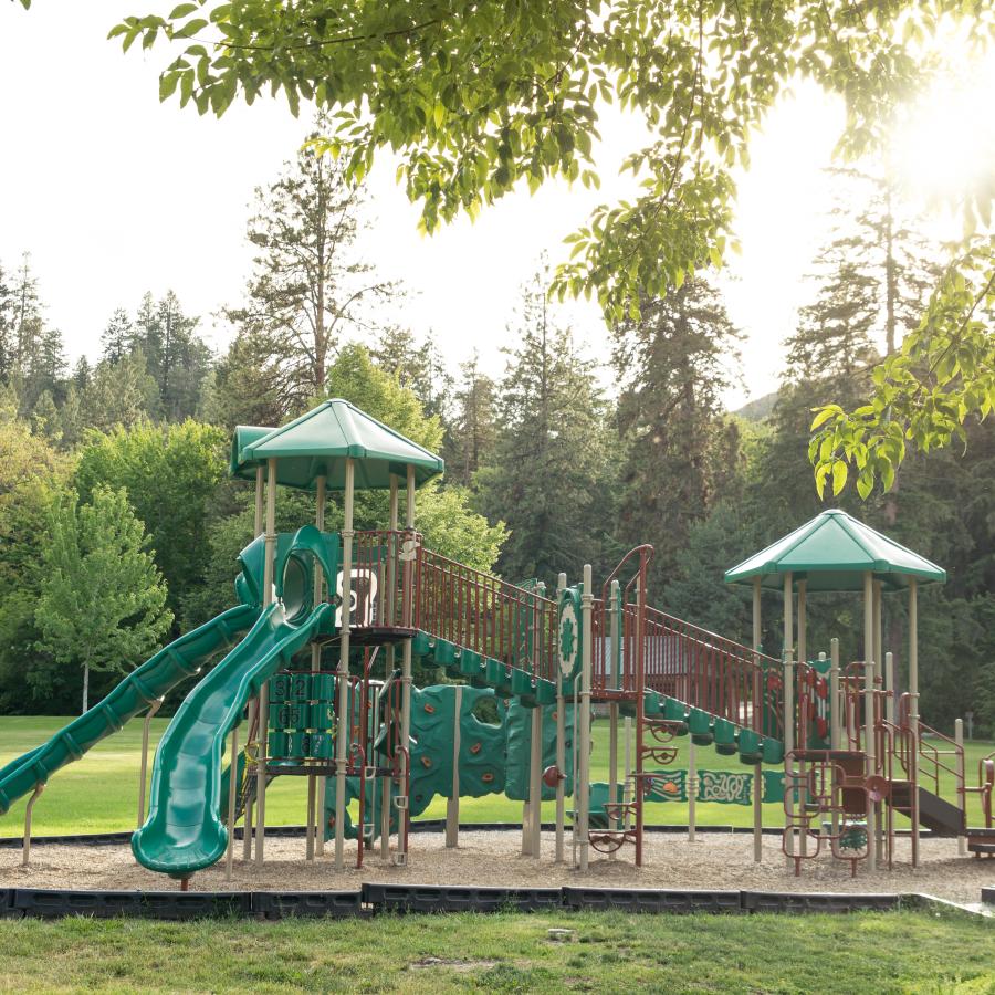 Green and brown playground equipment surrounded by trees at Lake Chelan State Park.