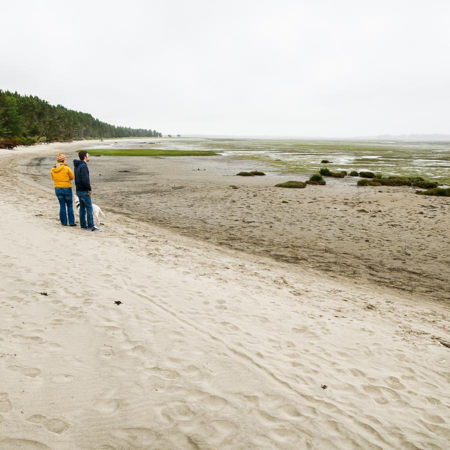 expansive beach with two people looking out at the marsh