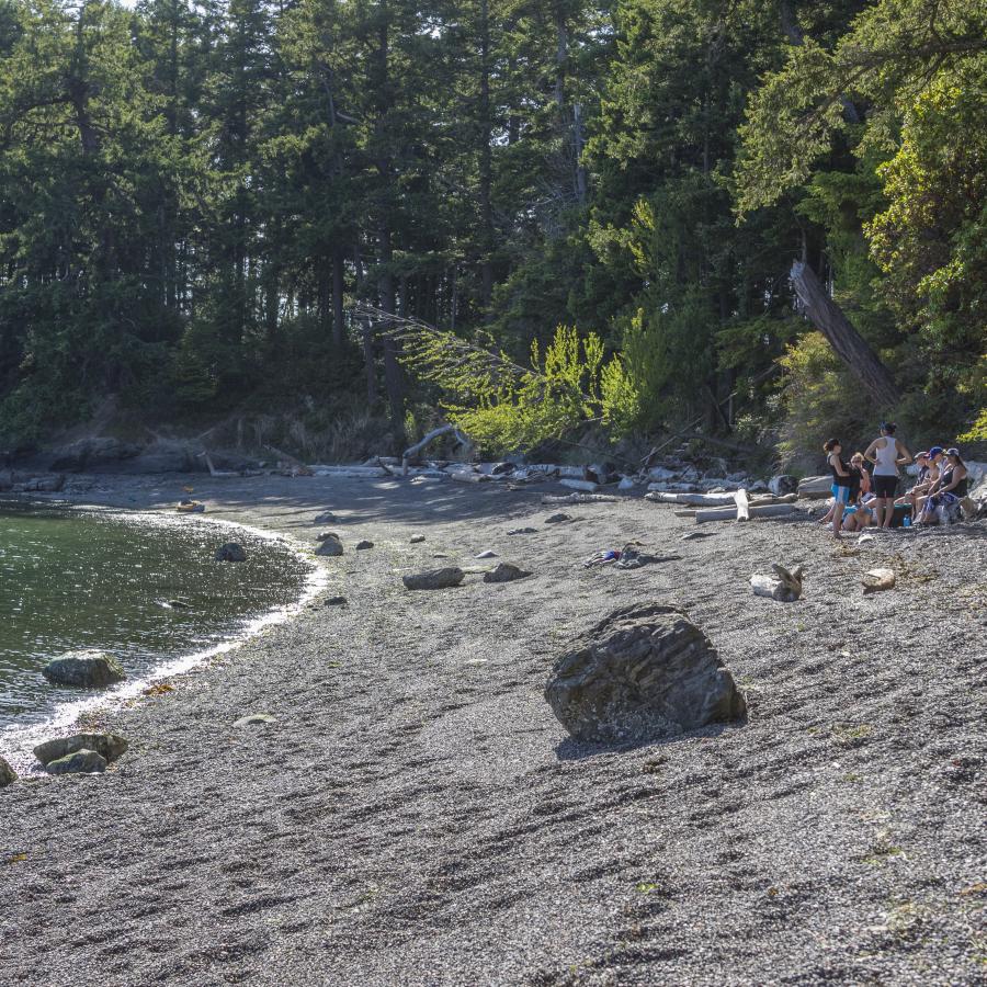 Seven adults and two youth are enjoying the beach on the right side of the image. There is substantial large driftwood logs on the beach as well as some rocks. The background has large, green deciduous trees. The foreground of the photo is rocky leading to the water.