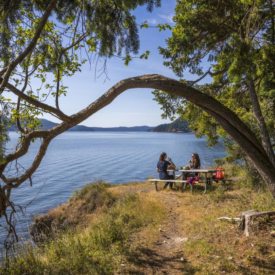 Image of visitors picnicking along the shoreline. In the background you can see trees with green leaves, blue water, and the hills and trees on the other side of the water. There is a curved tree in the foreground framing the two people having a picnic.