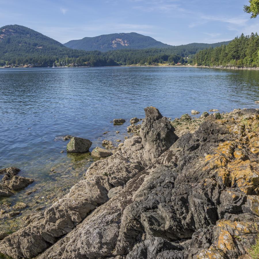 The foreground shows the rocky shoreline of Obstruction pass. Most of the rock is a dark grey, but some is covered in an orangish lichen. The water is blue with some visible rocks under the water. On the other side of the water forested hills are visible with green leaved trees.