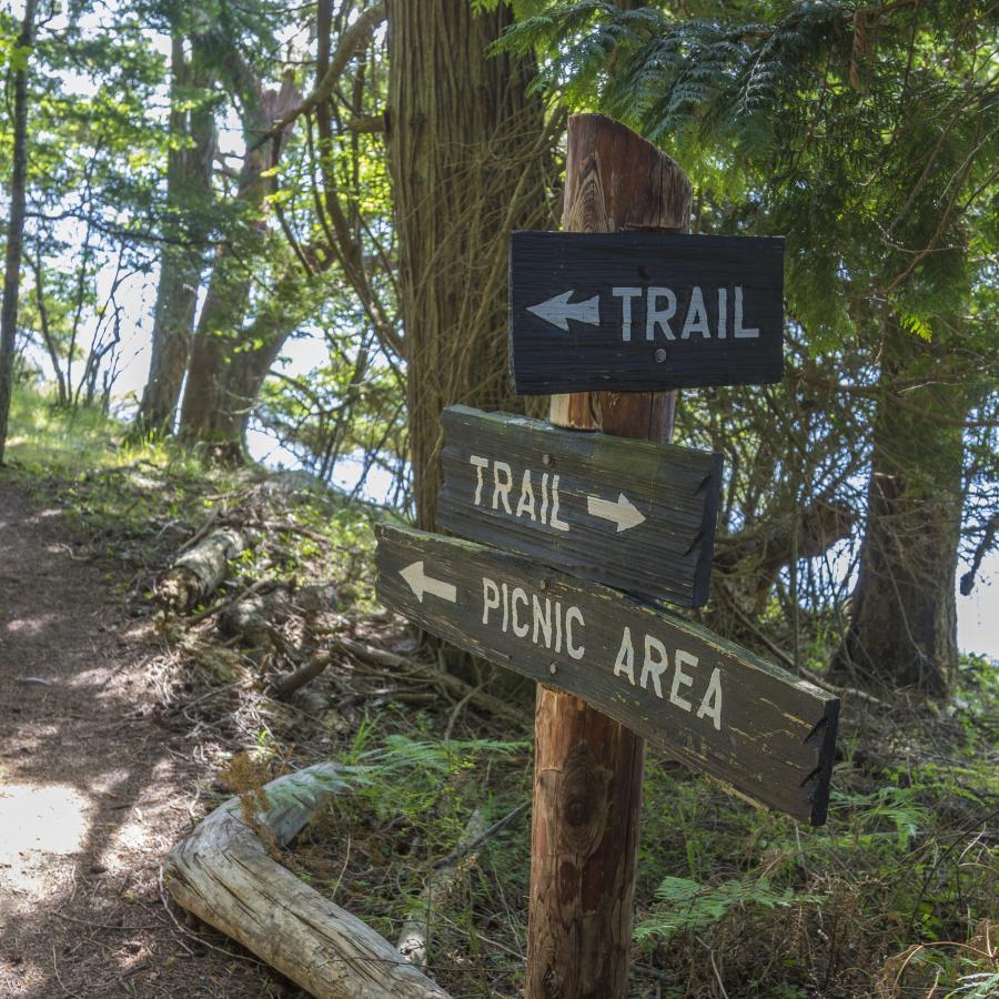 Trail sign along one of the hiking trails at Obstruction Pass. The sign has three wooden planks on it, two facing diagnal to the camera, one facing toward the camera. The one facing toward the camera said trail with an arrow pointing to the left. One of the diagnoal planks says Trail with an arrow pointing to the right. The second plank says Picnic Area with an arrow pointing left. There is green trees, green undergrowth, and the water is just barely visible in the background. 