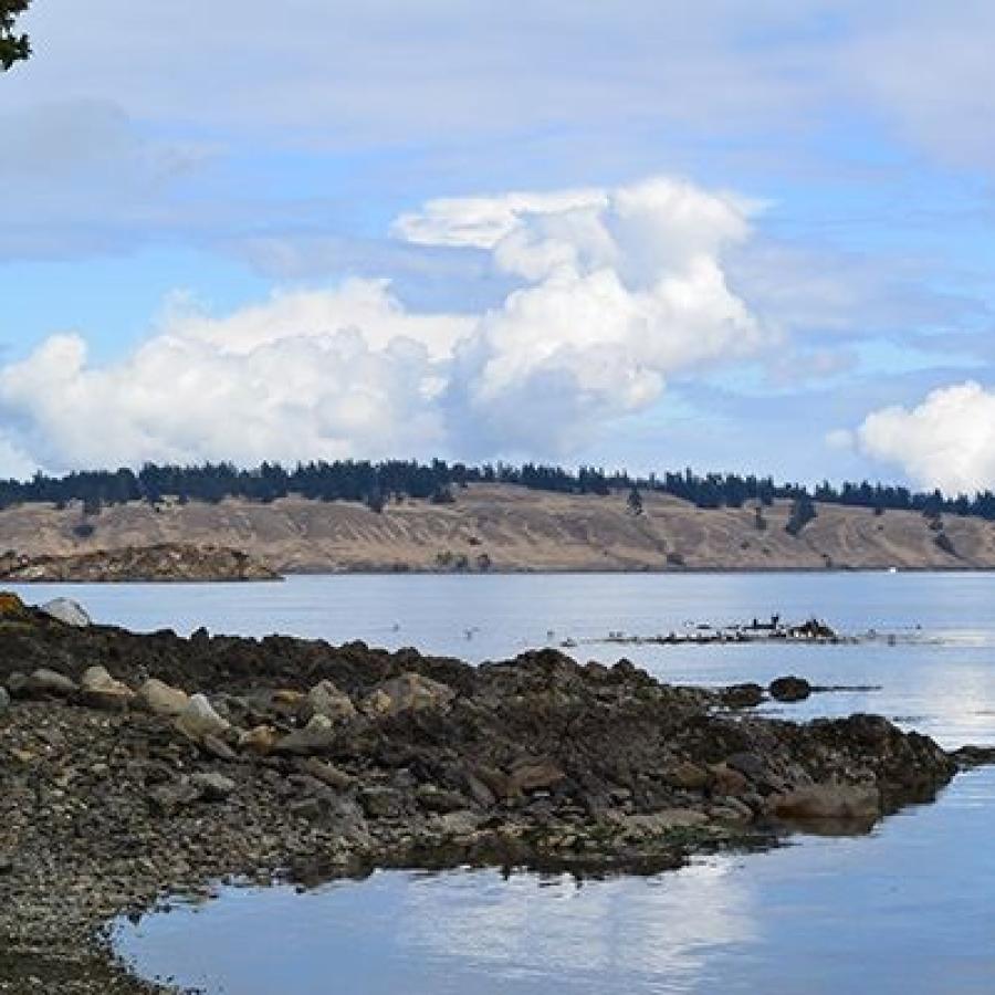 Grey, rocky shoreline with some yellowish-green to green lichen and moss. There is a single tree visible on the left side of the image while on the right the water reflects the light blue sky with fluffy white clouds. In the background hills are visible with bare sides and forested tops. 