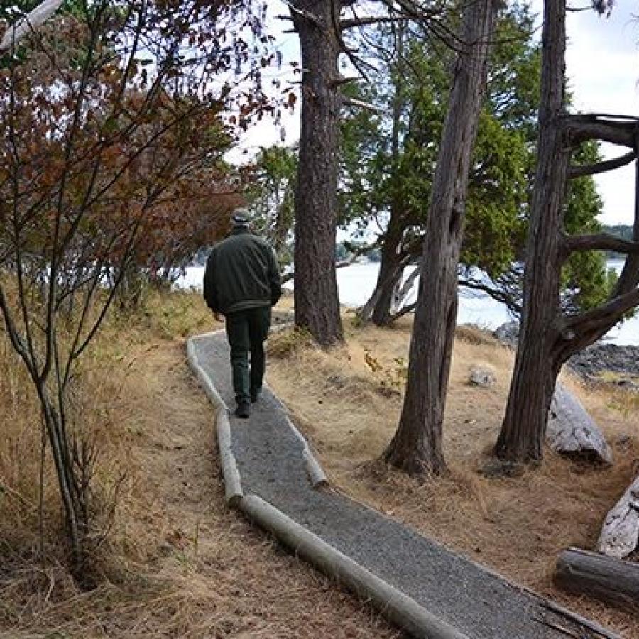 A visitor is hiking along a narrow dirt trail with log sides. There are 4 or 5 trees visible to the right of the trail as well as some driftwood. The right side has some small trees and grassy, dormant, light-brown ground cover. In the background the water is just barely visible.