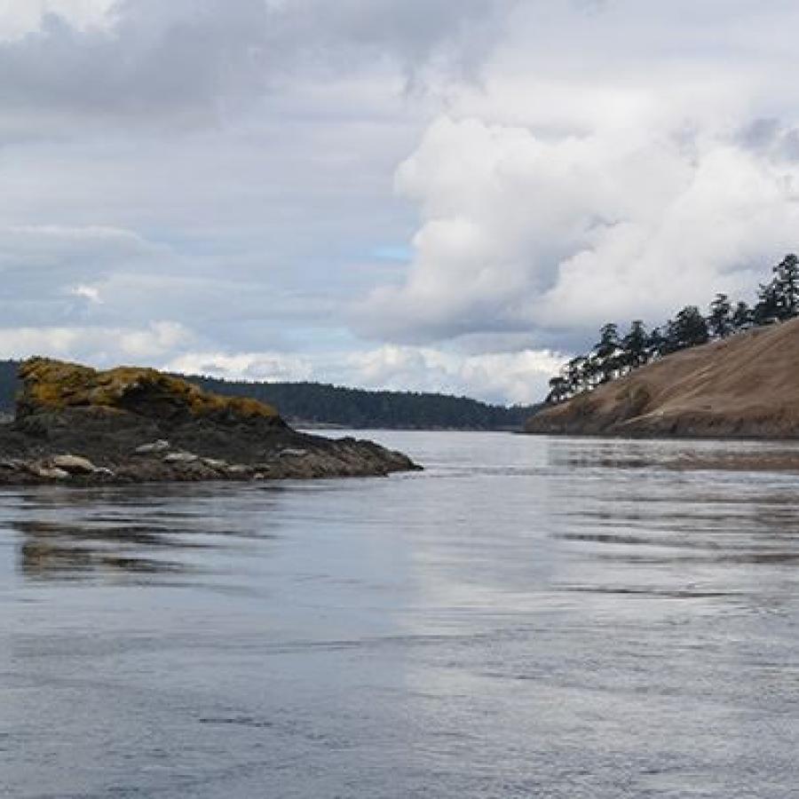 In the center the water reflects white-cloudy sky. A rocky outcropping with grey rocks and some smaller stones sticks out into the water on the left side. Further back in the photo, a brown, land feature with trees a top an incline is visible also sticking out into the water. In the very background additional landforms are visible with trees. 